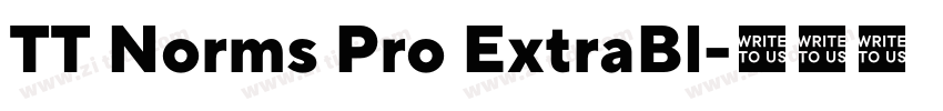 TT Norms Pro ExtraBl字体转换 TT Norms Pro ExtraBl字体转换